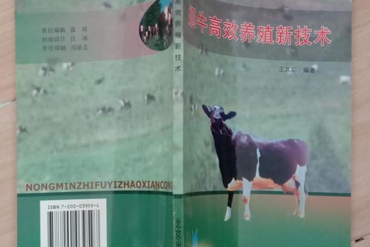 奶牛高效养殖新技术