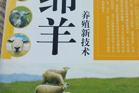 绵羊养殖新技术